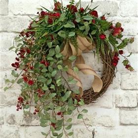 fwthumbchristmas wreath with euc.jpg